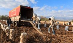 TİGEM Nedir? TİGEM Açılımı, Amacı, Görevleri