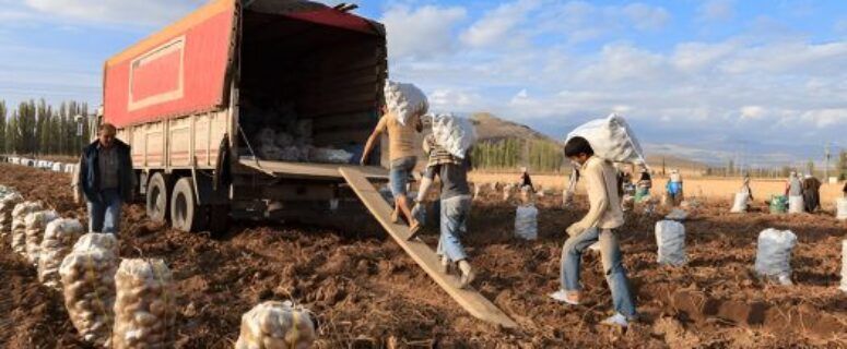 TİGEM Nedir? TİGEM Açılımı, Amacı, Görevleri