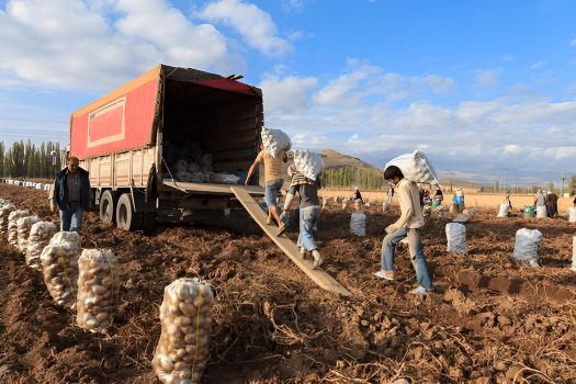 tigem nedir, tigem açılımı